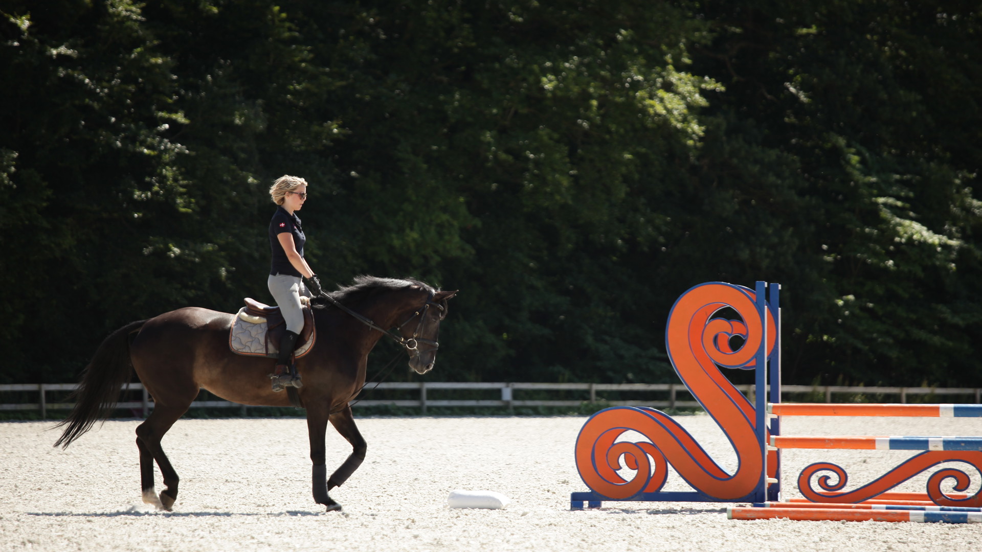 Landzonetilladelse til ridebane